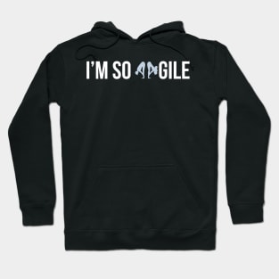 Developer I'm So Agile Hoodie